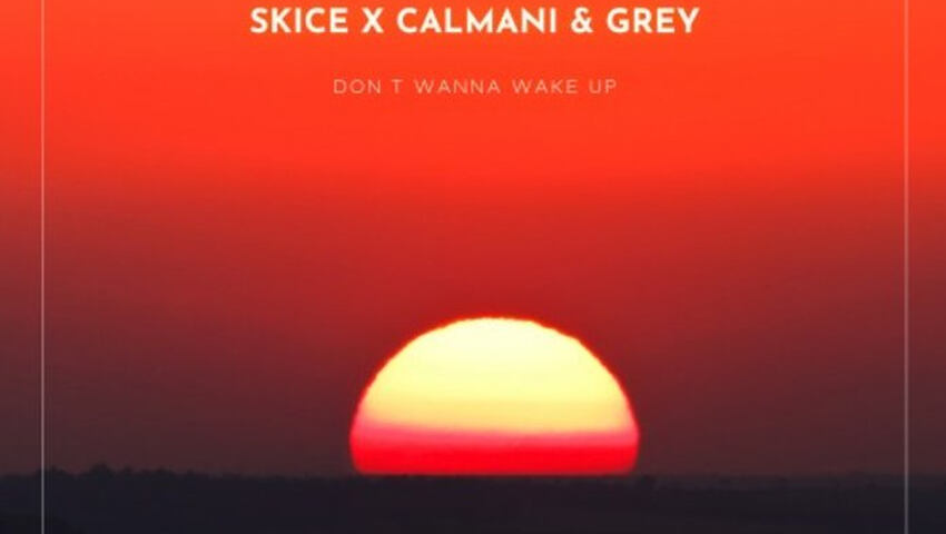 Skice x Calmani & Grey veröffentlichen "Don't Wanna Wake Up"