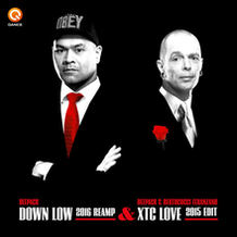 Down Low 2016 Reamp