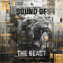 Sound Of The Beast