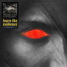 Burn The Evidence