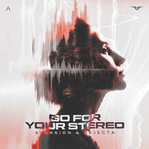 Go For Your Stereo