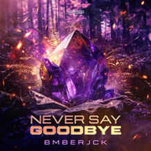 Never Say Goodbye