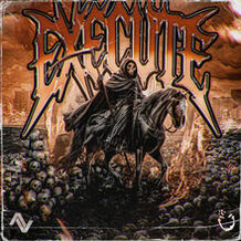 Execute