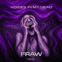 VOICES IN MY HEAD