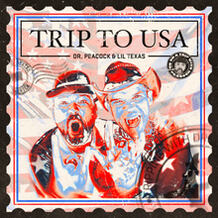 Trip to USA