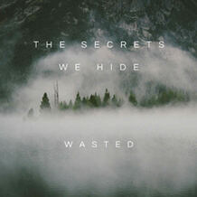 The Secrets We Hide