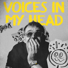 VOICES IN MY HEAD