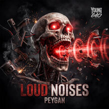 LOUD NOISES
