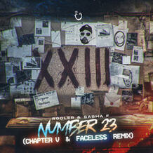 Number 23