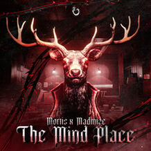 The Mind Place