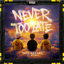 Never Too Late