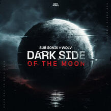 Dark Side Of The Moon