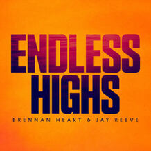 Endless Highs