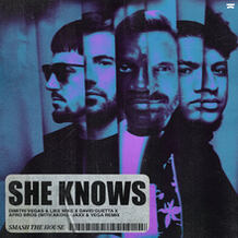 She Knows (Jaxx & Vega Remix)