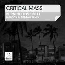 Burning Love 2011 (D-Block & S-te-Fan Remix)
