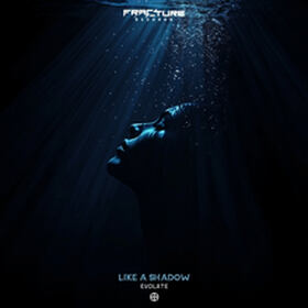 Like A Shadow