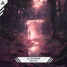 Illusions
