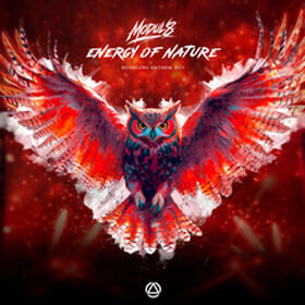 Energy Of Nature (Rushcore 2025 Anthem)