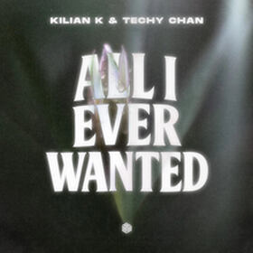 All I Ever Wanted