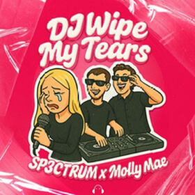 DJ Wipe My Tears