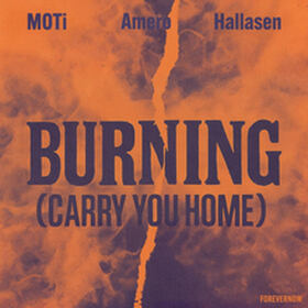 Burning (Carry You Home)