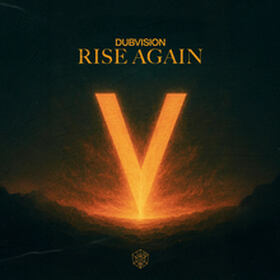 Rise Again