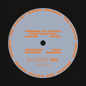 Running To The Sea [anamē remix]