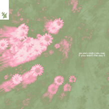 If You Want Me Say It