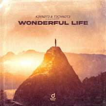 Wonderful Life
