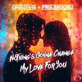 Nothing's Gonna Change My Love For You