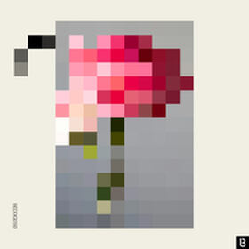 Forever / Paper Walls