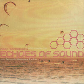 Need Somebody (Who Needs Me)