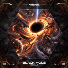 Black Hole