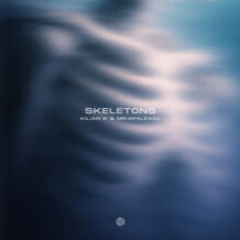 Skeletons