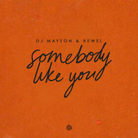 Somebody Like You