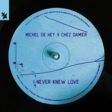 I Never Knew Love