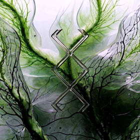 Annihilation
