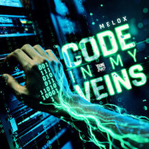 Code In My Veins