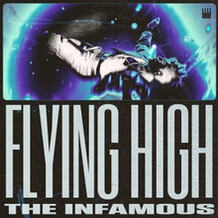 Flying High