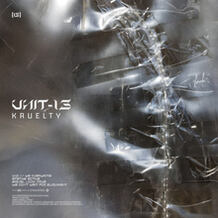 UNIT-13