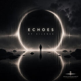 Echoes of Silence