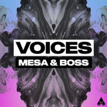 Voices