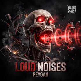 LOUD NOISES
