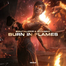 Burn In Flames