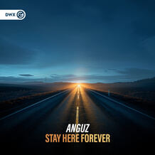 Stay Here Forever