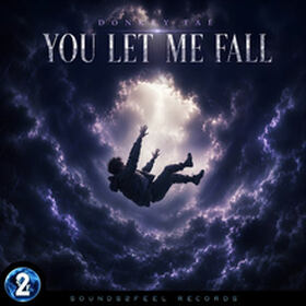 You Let Me Fall