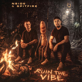 RUIN THE VIBE
