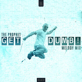 Get Dumb! (Melody Mix)