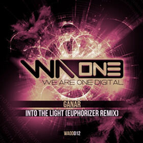 Into The Light (Euphorizer Remix)