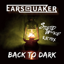 Back To Dark (Stupid Whizkid Remix)